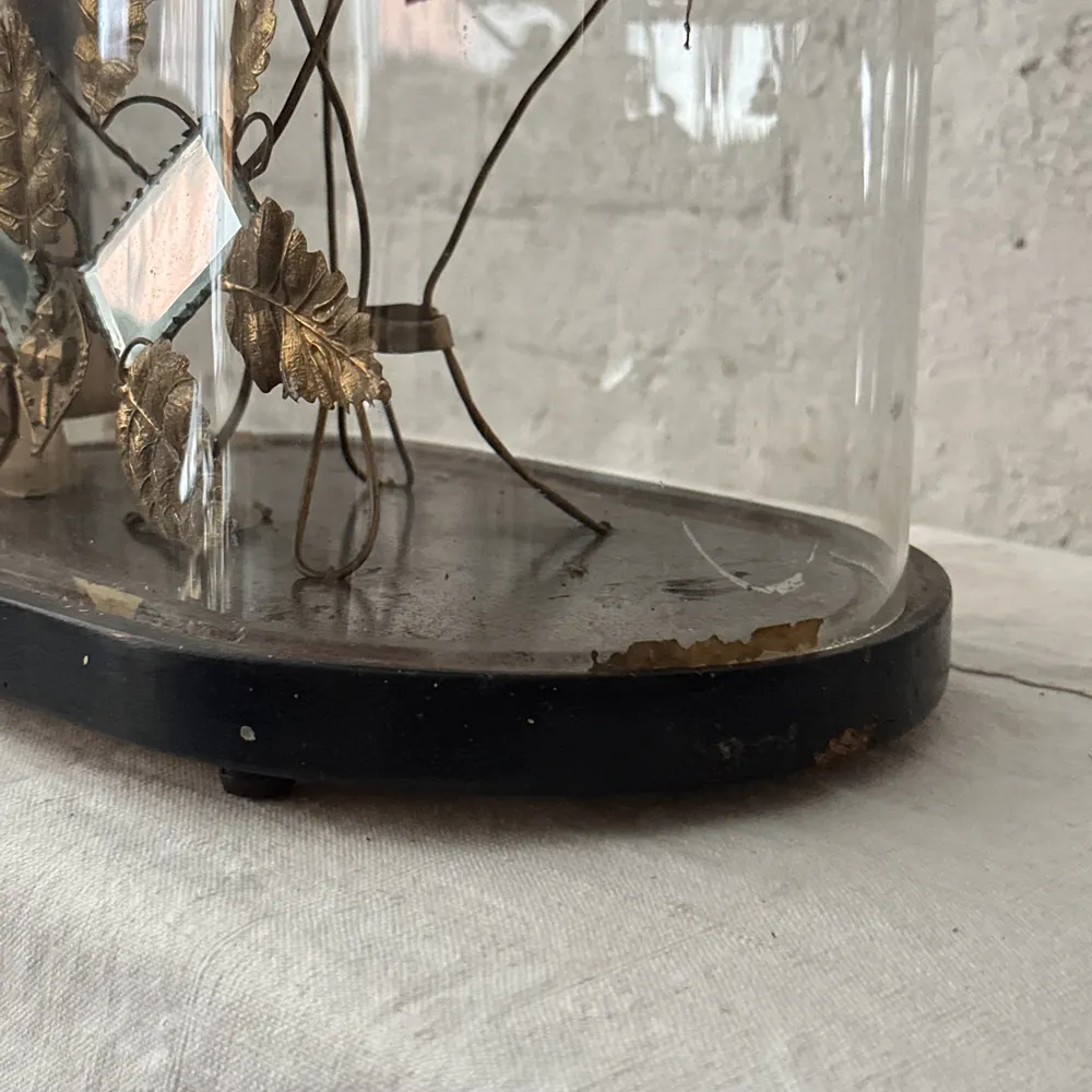 19th Century French Globe de Mariée Marriage Cloche (GM24)