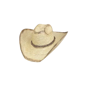 Bullhide Men's Ranchaman Natural Hat