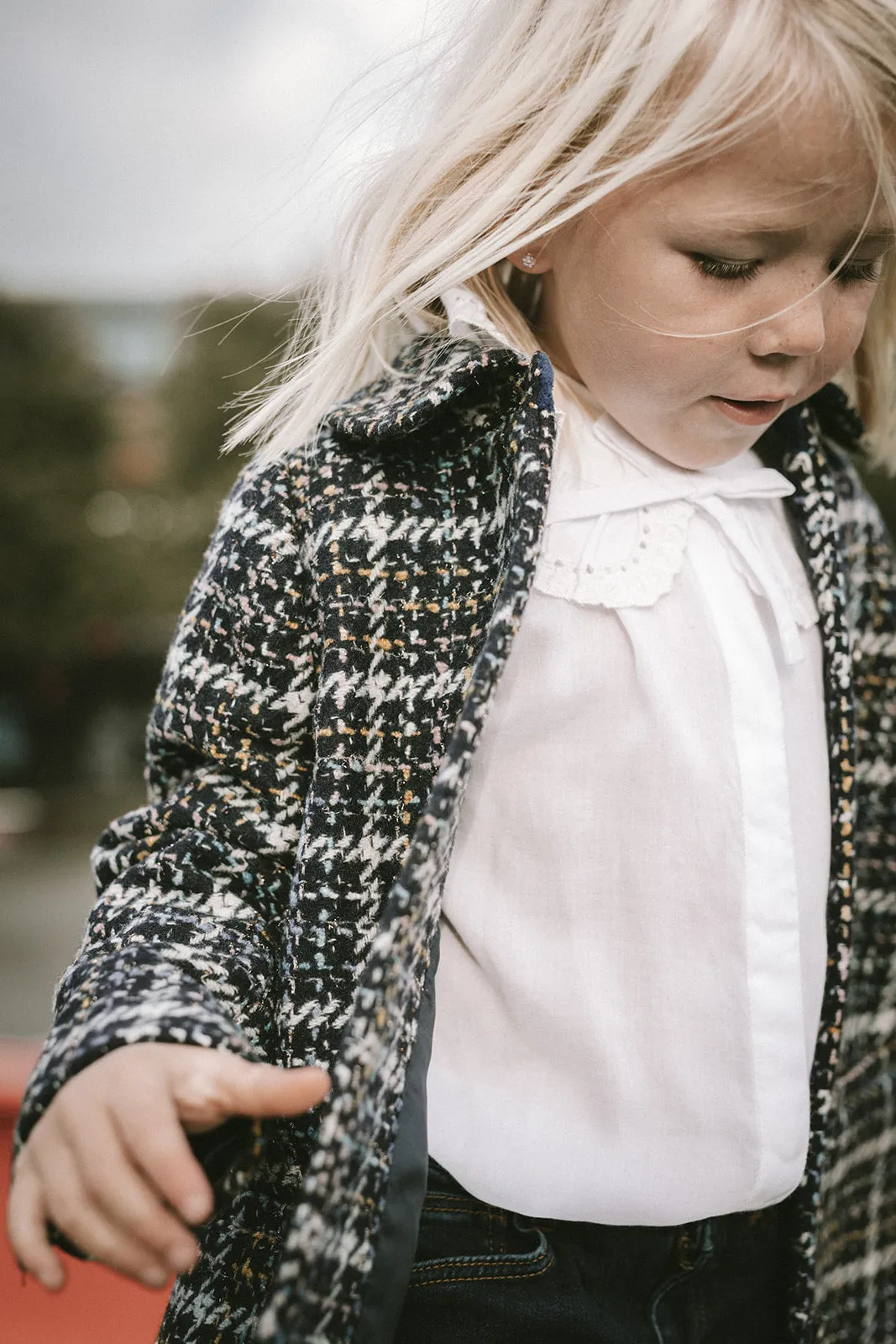 Olive Jacket, Jacket - Navy Check