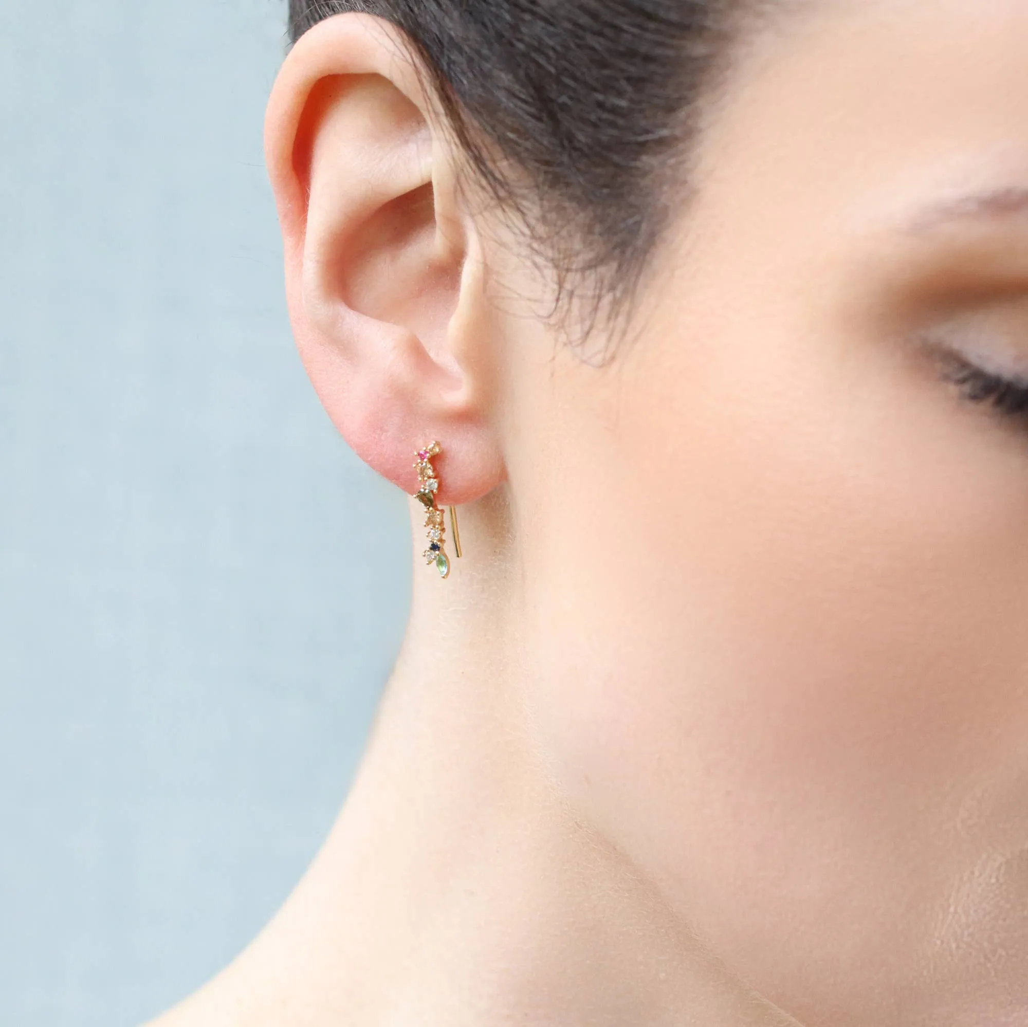 Silk Purse, Sow’s Ear Rainbow Earrings
